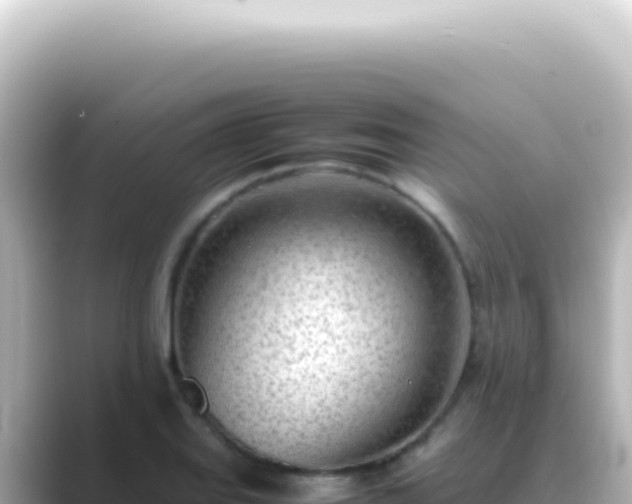 X0000089461127200706221300