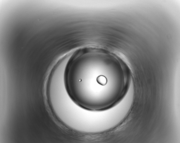 X0000089461128200706221300