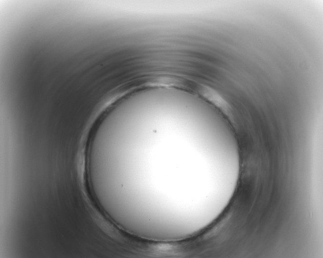 X0000089461130200706221300