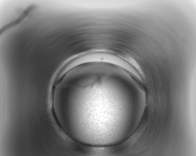 X0000089461132200706221300