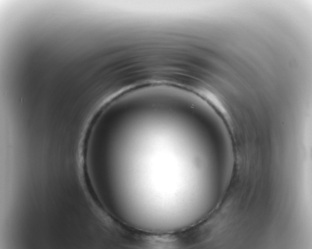 X0000089461133200706221300