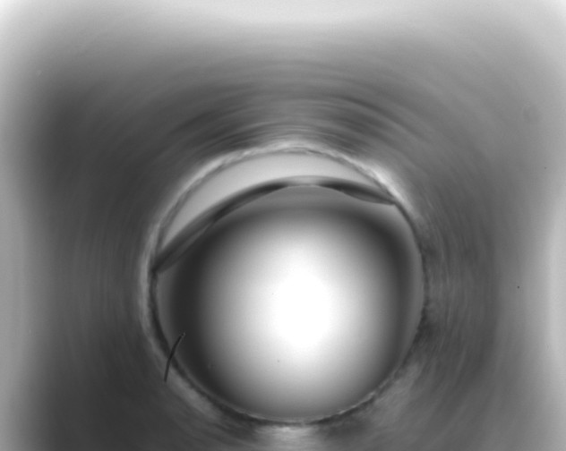 X0000089461134200706221300