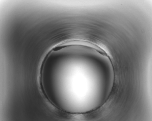 X0000089461136200706221300