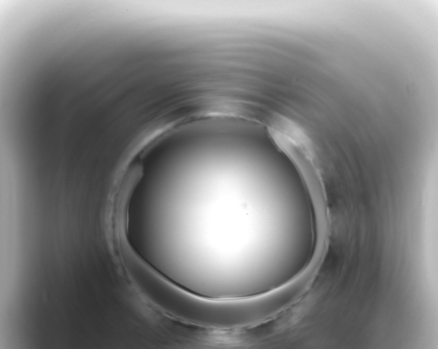 X0000089461138200706221300