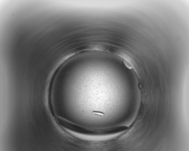 X0000089461139200706221300