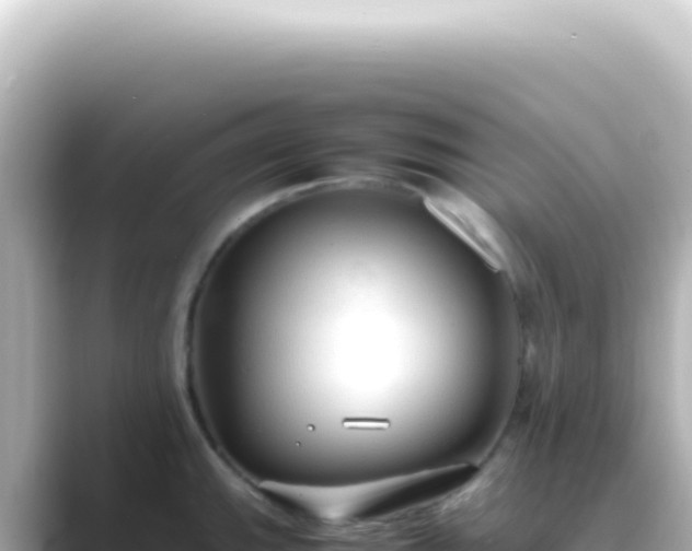X0000089461143200706221300