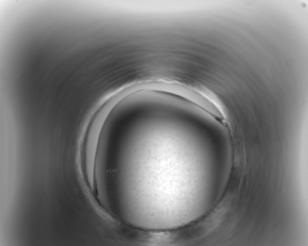 X0000089461144200706221300