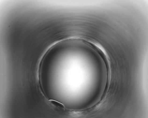 X0000089461148200706221300