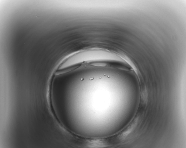 X0000089461149200706221300