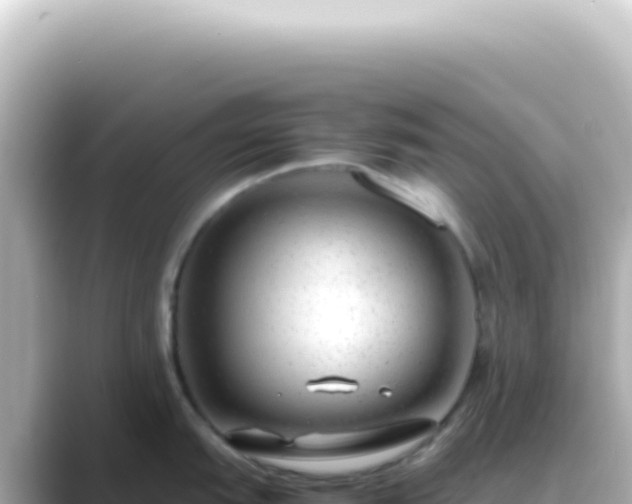 X0000089461151200706221300