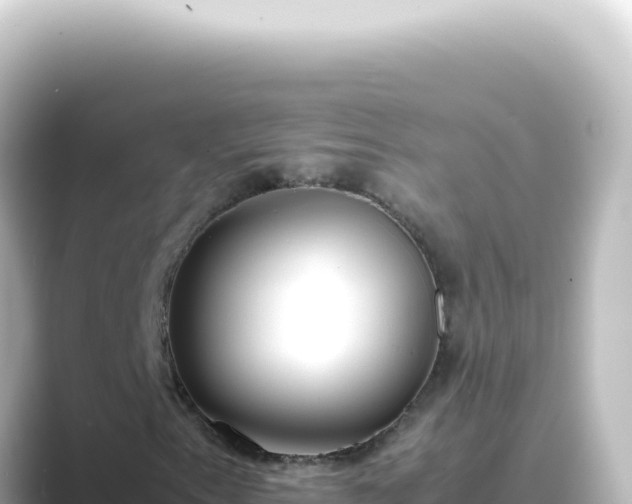 X0000089461153200706221300