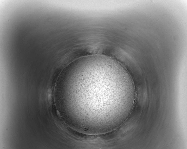 X0000089461154200706221300
