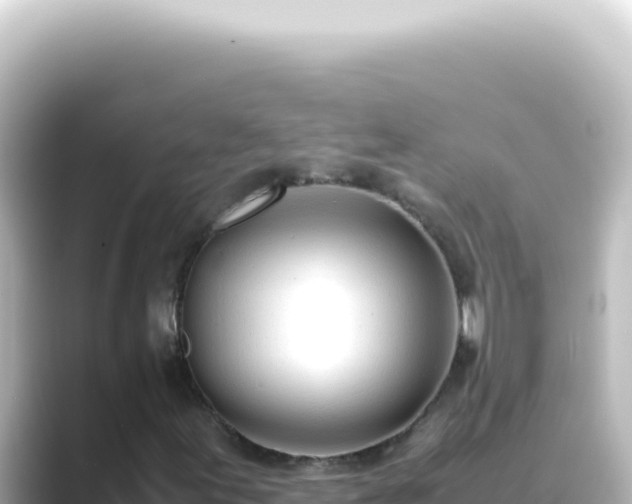 X0000089461155200706221300