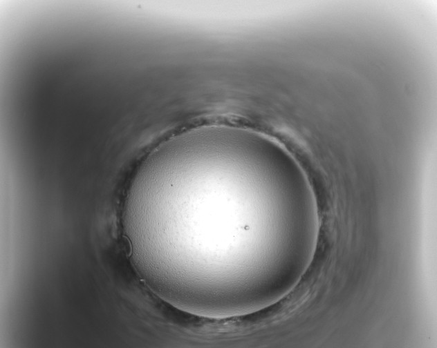X0000089461159200706221300