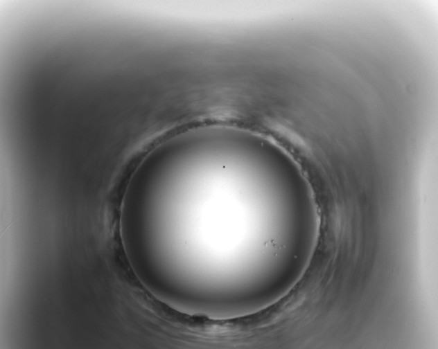 X0000089461160200706221300