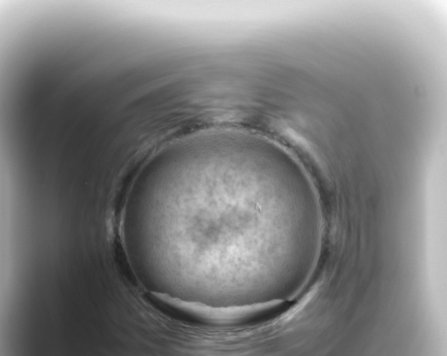 X0000089461161200706221300