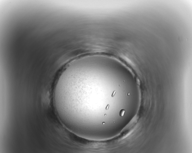X0000089461163200706221300