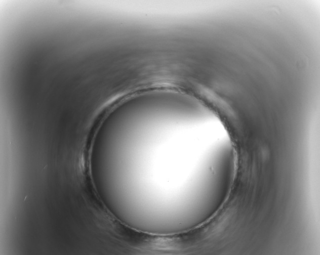 X0000089461166200706221300