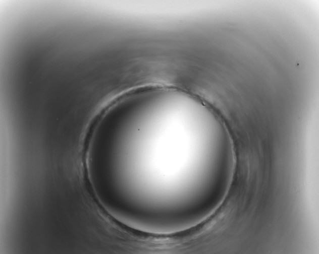 X0000089461168200706221300