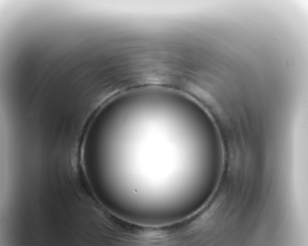 X0000089461170200706221300