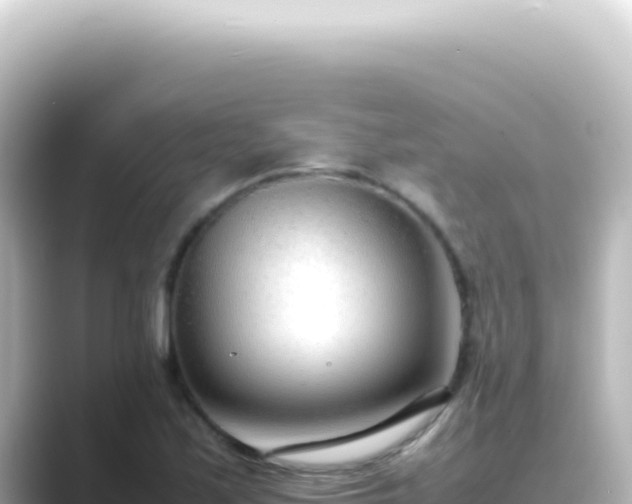 X0000089461171200706221300