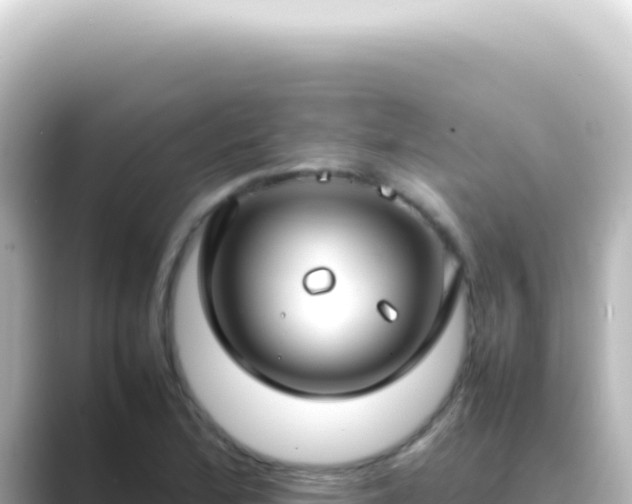 X0000089461172200706221300