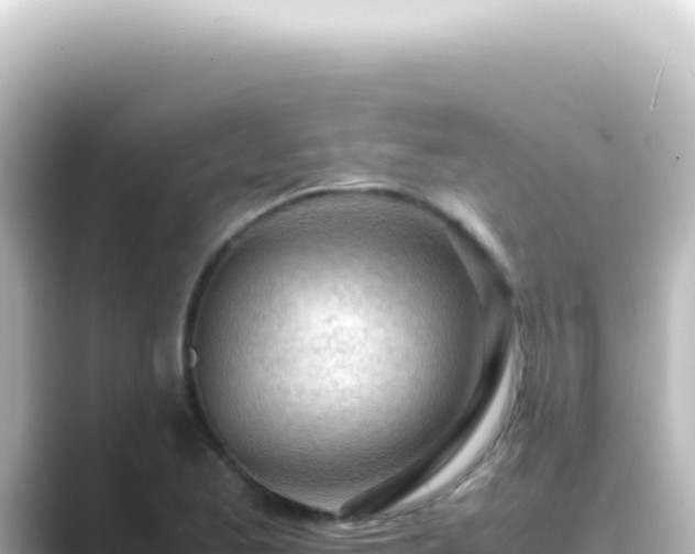 X0000089461173200706221300