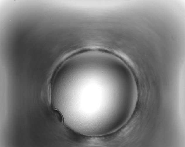 X0000089461175200706221300