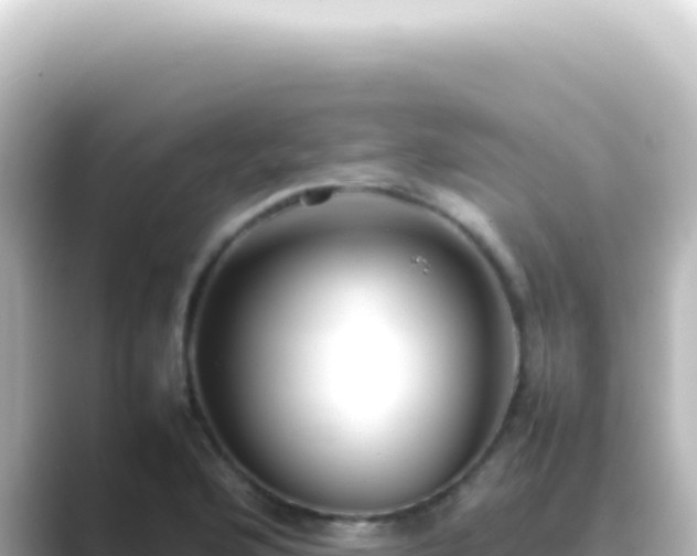 X0000089461176200706221300