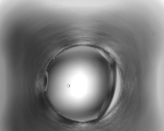 X0000089461177200706221300