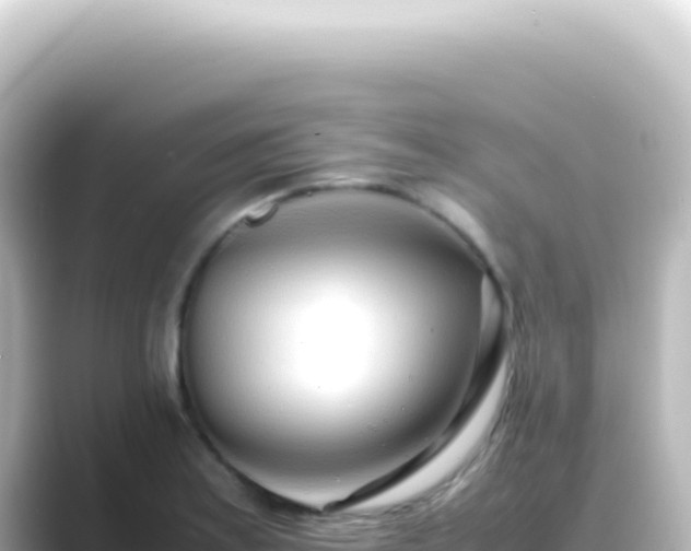 X0000089461179200706221300