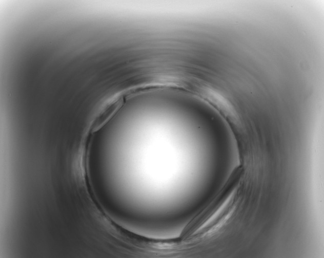X0000089461180200706221300