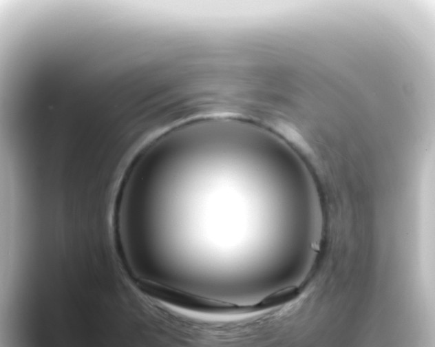 X0000089461181200706221300