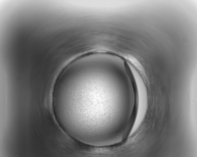X0000089461183200706221300