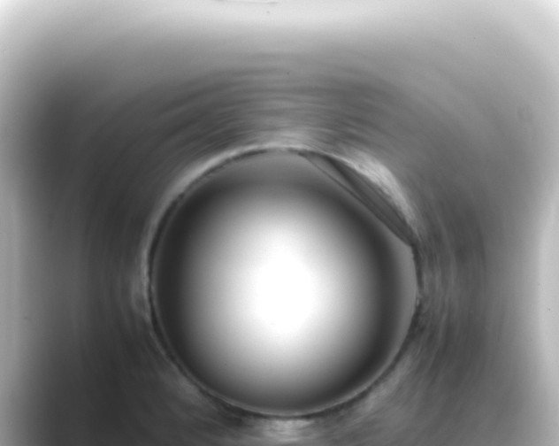 X0000089461184200706221300