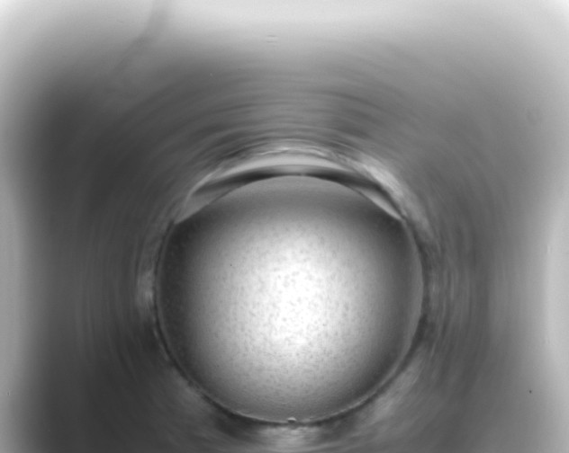 X0000089461185200706221300