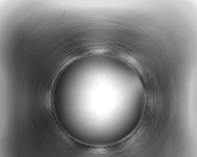 X0000089461186200706221300