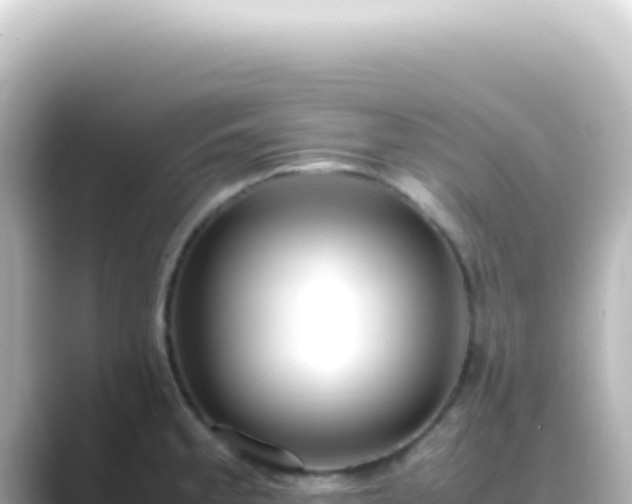 X0000089461189200706221259