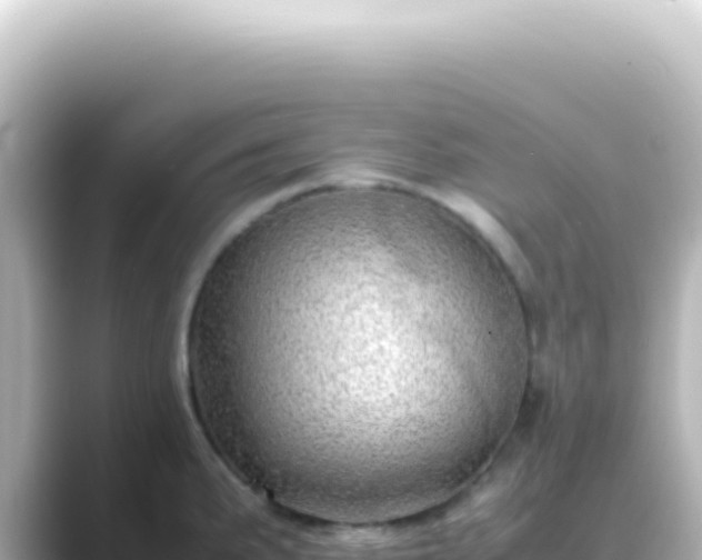 X0000089461191200706221259