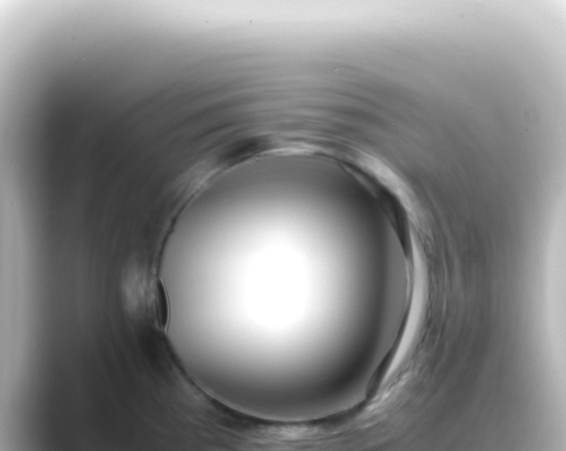 X0000089461193200706221259