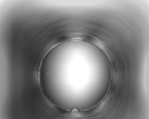 X0000089461194200706221259