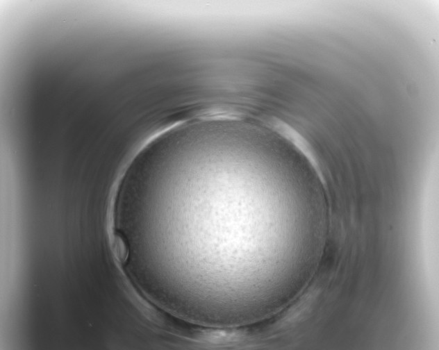 X0000089461195200706221259