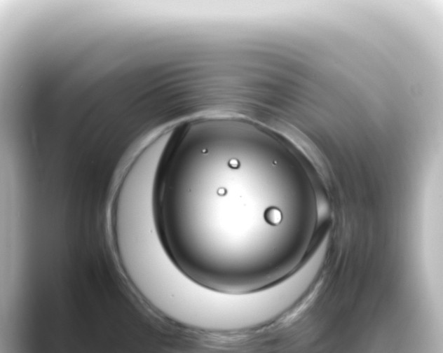 X0000089461196200706221259
