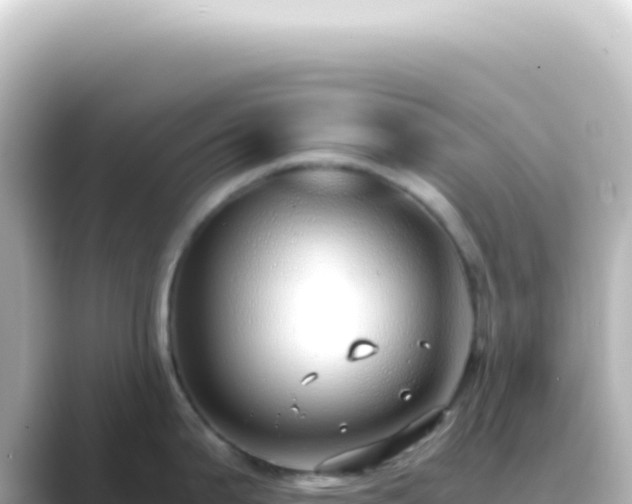X0000089461199200706221259