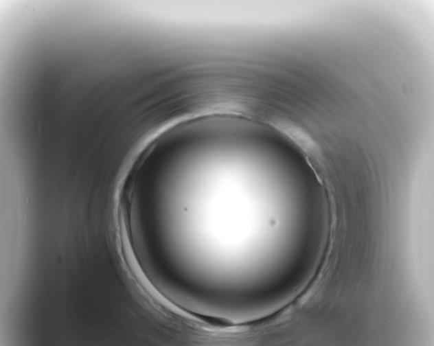 X0000089461200200706221259
