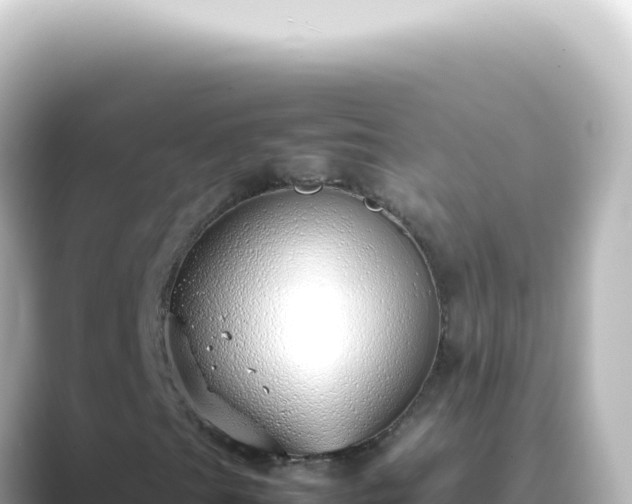 X0000089461201200706221259