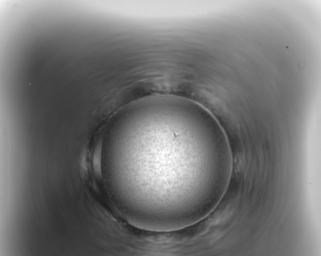 X0000089461202200706221259