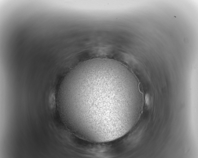 X0000089461203200706221259