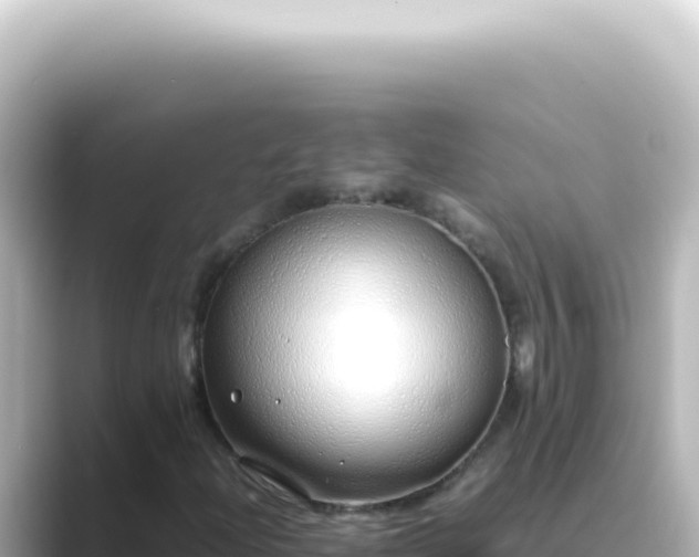 X0000089461204200706221259