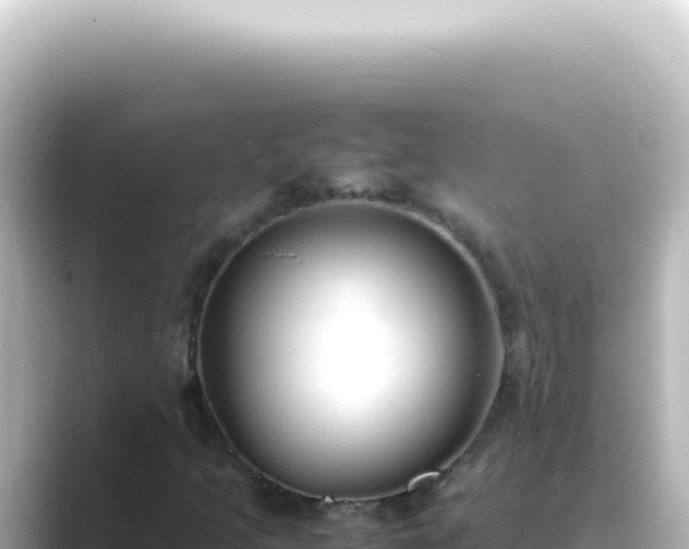 X0000089461205200706221259